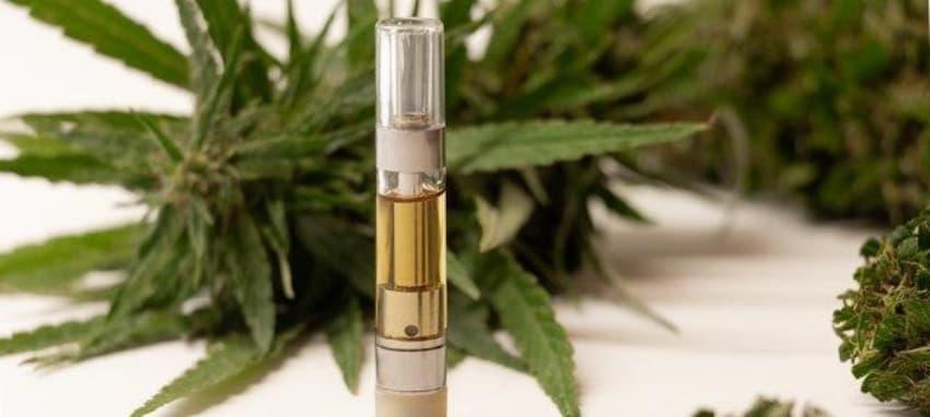 xem bong truc tiep streaming guide and balanced e cigarettes pros and cons every fan should read